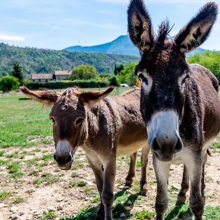 Plaines-provence Spa&sauna *