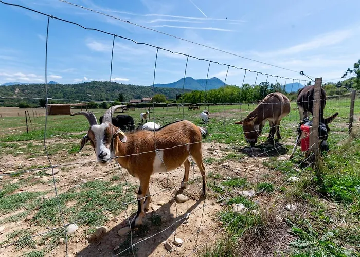 Plaines-provence Spa&sauna Digne-les-Bains