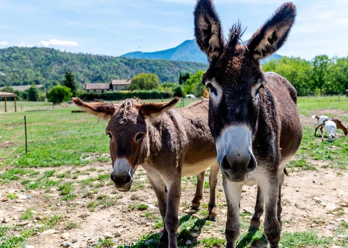 Plaines-provence Spa&sauna *