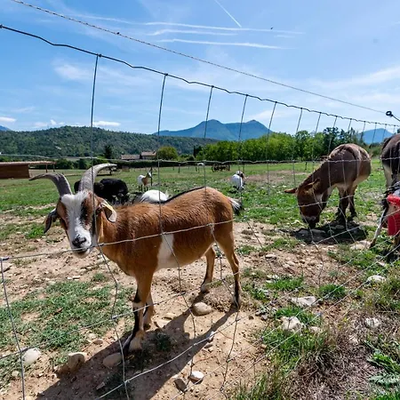 Plaines-provence Spa&sauna Digne-les-Bains